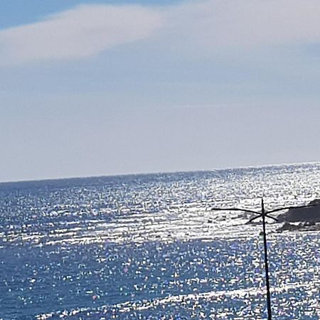 Ajaccio Centre Vieille Ville Imperiale Tt Confort Ttes Commodites 3 A 4 Pers Cathedrale A 300M Mer Port Marche Local Plages Exterior photo